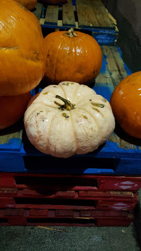 Grocery Store «Safeway», reviews and photos, 19651 US-2, Monroe, WA 98272, USA