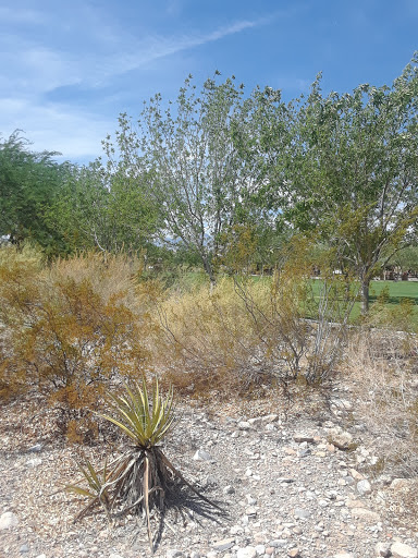 Park «Old Spanish Trail Park», reviews and photos, 8150 Tara Ave, Las Vegas, NV 89117, USA