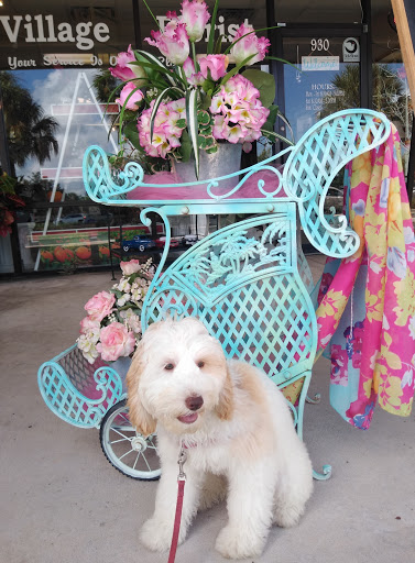 Florist «The Villages Florist Of Lady Lake», reviews and photos, 930 Bichara Blvd, Lady Lake, FL 32159, USA