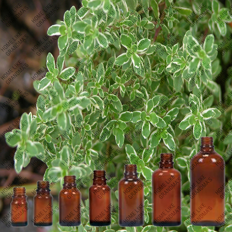 Florist «Miles of Flowers», reviews and photos, 4143 W Main St #3, Dothan, AL 36305, USA