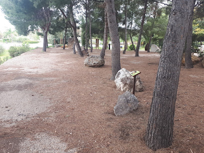 Museo al aire libre – Murock Museo de Rocas de la Region de Murcia – Espinardo