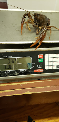 Seafood Market «Satsuma Seafood», reviews and photos, 29923 S Satsuma Rd, Livingston, LA 70754, USA