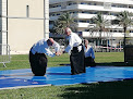 AIKIDO CLUB SEYNOIS - ÉCOLE DE SUMIKIRI La Seyne-sur-Mer