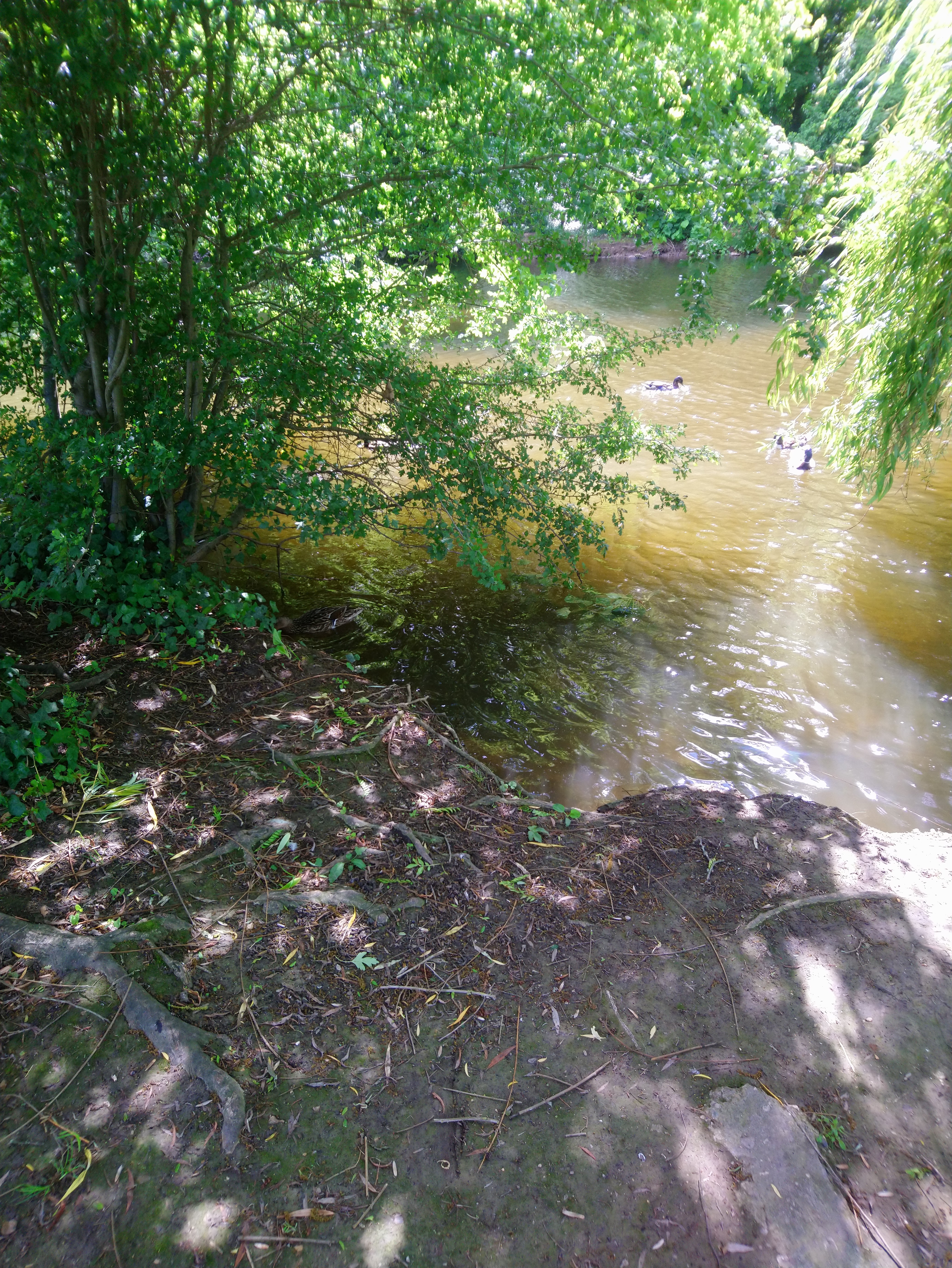 Photo n° 4 de l'avis de Lucien.e fait le 10/06/2019 à 14:26
