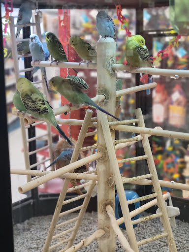 Pet Supply Store «Petco Animal Supplies», reviews and photos, 753 53rd Ave NE, Fridley, MN 55421, USA