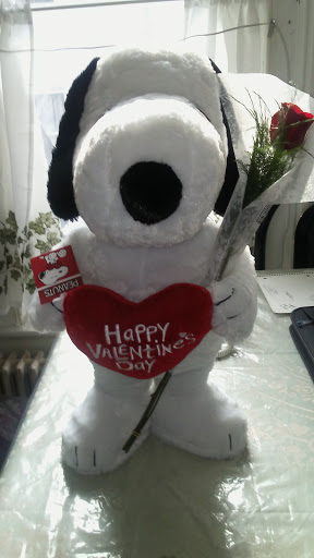 Auto Parts Store «AutoZone», reviews and photos, 140 W Main St #150, Meriden, CT 06450, USA