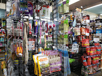 Ac'cent On ANIMALS - 804 South Street - Photo 9 - Car repair in Philadelphia, PA, Philadelphia