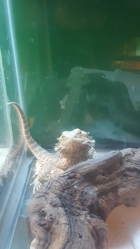 Pet Store «Tanks Pet Supply», reviews and photos, 628 S Main St, Princeton, IL 61356, USA