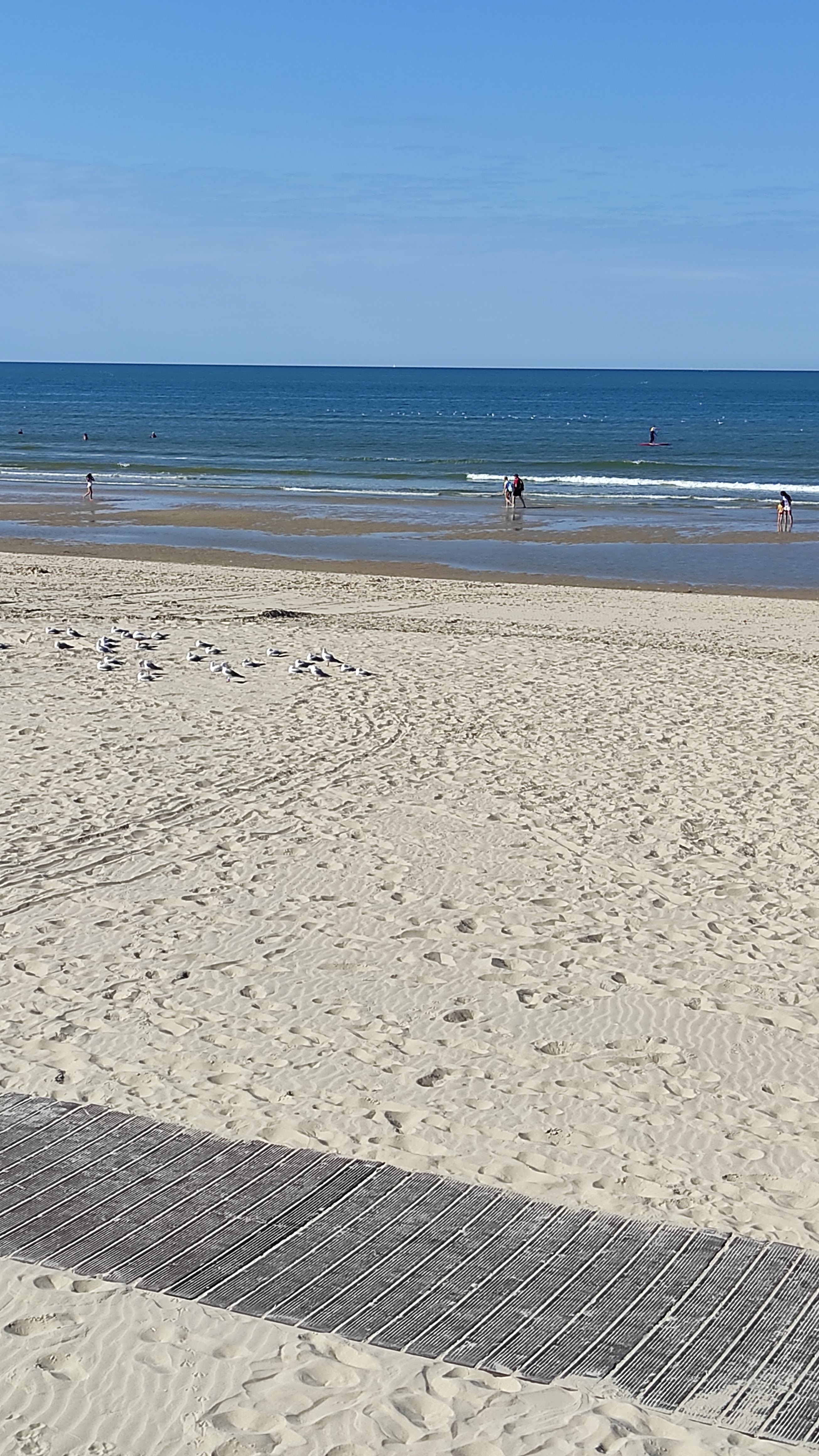 Photo n° 2 de l'avis de Isa. fait le 18/09/2021 à 16:11