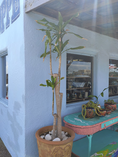Gift Shop «Sea Shell Shoppe», reviews and photos, 120 N Austin St, Rockport, TX 78382, USA