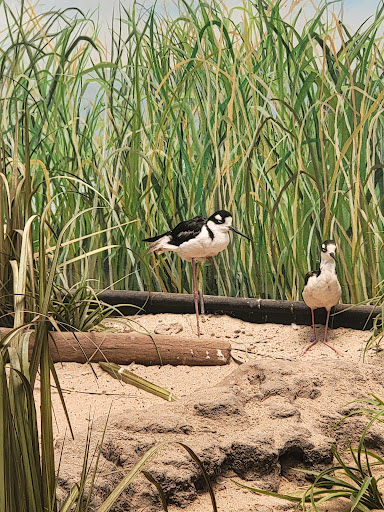 Aquarium «New York Aquarium», reviews and photos, 602 Surf Ave, Brooklyn, NY 11224, USA