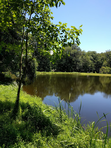 Nature Preserve «Strawberry Hill Nature Preserve», reviews and photos, 1537 Mt Hope Rd, Fairfield, PA 17320, USA