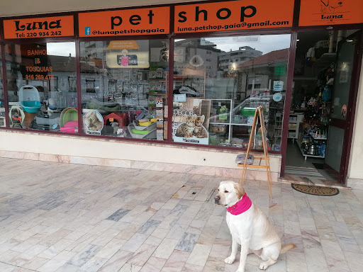 Luna pet shop