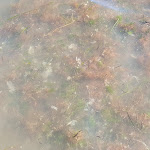 Photo n°7 de l'avis de Christoph. fait le 30/10/2022 à 14:33 sur le  Hotel Bibione Palace à Bibione