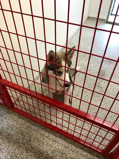 Kennel «Barkaritaville Pet Resort», reviews and photos, 6617 Jefferson St, Corpus Christi, TX 78413, USA