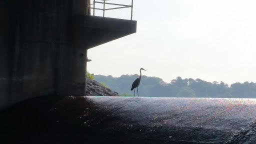 Tourist Attraction «South Shore Park», reviews and photos, 4555 Ragsdale Rd, Acworth, GA 30101, USA
