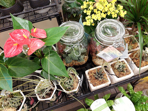 Grocery Store «Hannaford Supermarket», reviews and photos, 99 Main St, Gorham, ME 04038, USA