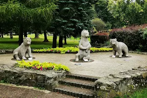 Park Niedźwiadków w Tychach image