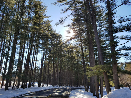 Golf Course «Saratoga Spa Golf Course», reviews and photos, 60 Roosevelt Dr, Saratoga Springs, NY 12866, USA