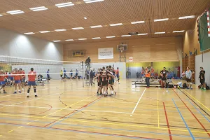 VIVES Volleybal image