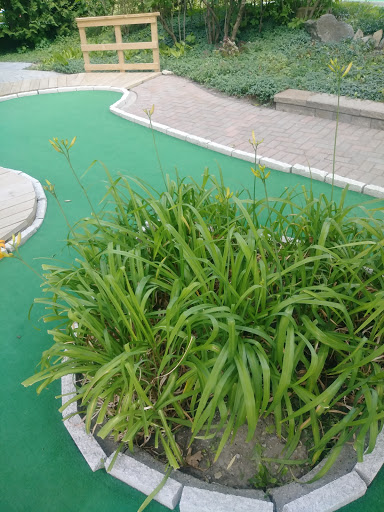 Miniature Golf Course «Willow Creek Golf & Sports Center», reviews and photos, 3120 S Lapeer Rd, Lake Orion, MI 48359, USA