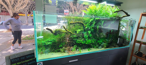 Tropical Fish Store «Aqua Forest Aquarium», reviews and photos, 1718 Fillmore St, San Francisco, CA 94115, USA