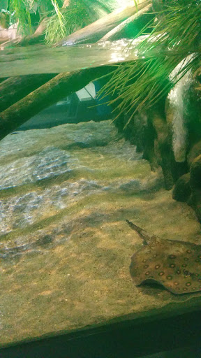 Aquarium «Greater Cleveland Aquarium», reviews and photos, 2000 Sycamore St, Cleveland, OH 44113, USA
