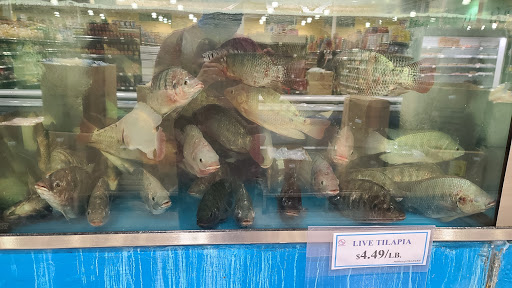 Asian Grocery Store «MT Supermarket», reviews and photos, 10901 N Lamar Blvd G, Austin, TX 78753, USA