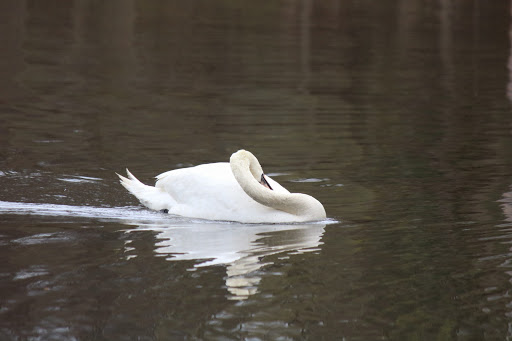 Park «Depot Park», reviews and photos, 120 South Rd, Bedford, MA 01730, USA