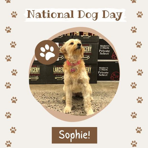 Liquor Store «Whitehouse Liquor & Wine», reviews and photos, 650 Hylan Dr, Rochester, NY 14623, USA