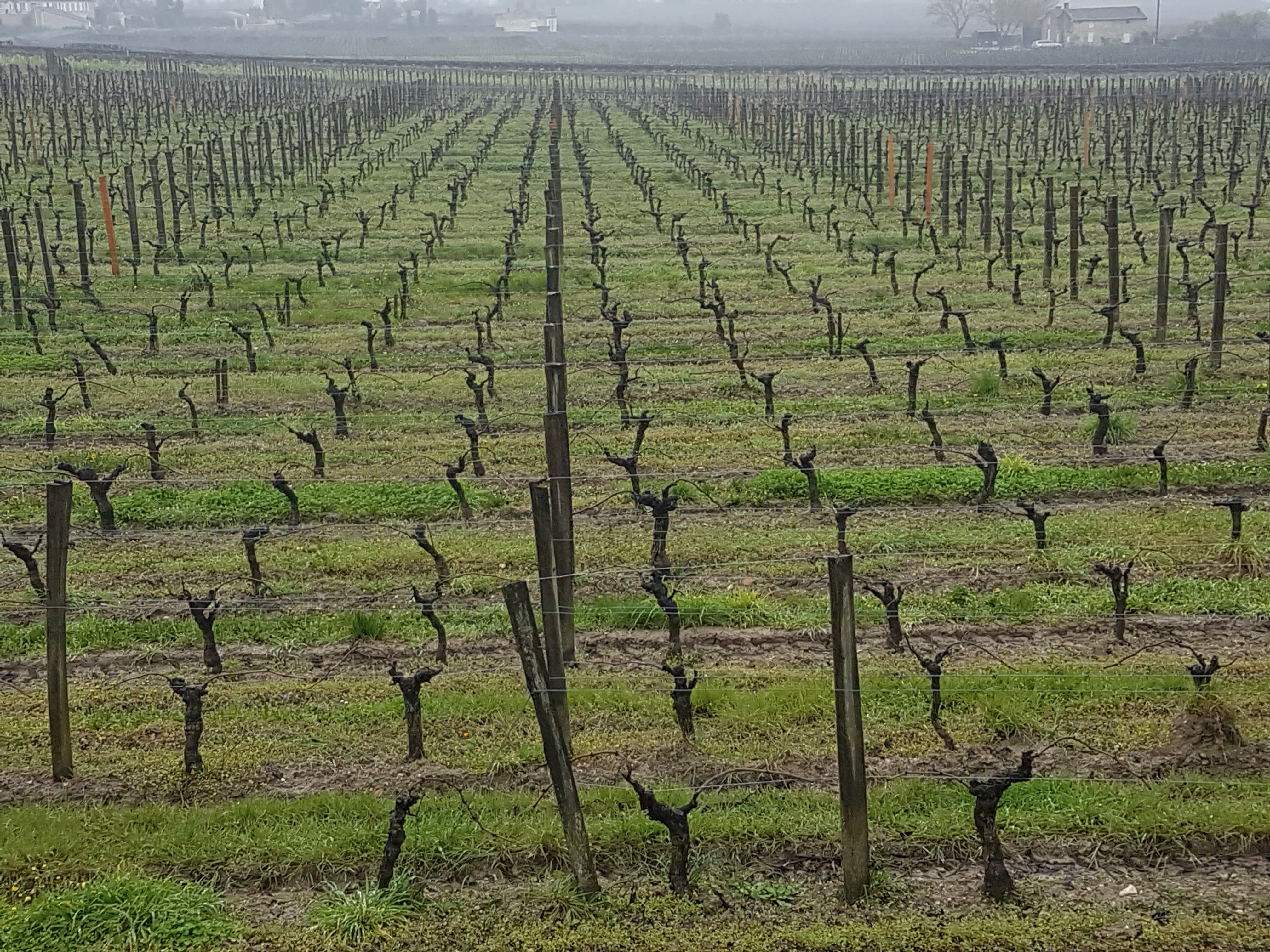 Photo n° 3 de l'avis de daniele.r fait le 27/03/2018 à 21:21