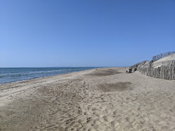 Foto von Espiguette wild beach mit lange, gerade küste