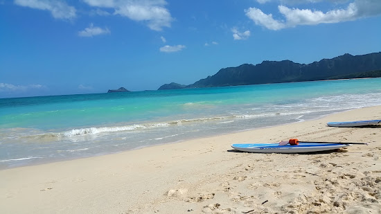 Bellow Surf Spot Beach
