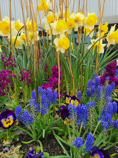 Outlet Mall «Tanger Outlet Grand Rapids», reviews and photos, 350 84th St SW, Byron Center, MI 49315, USA