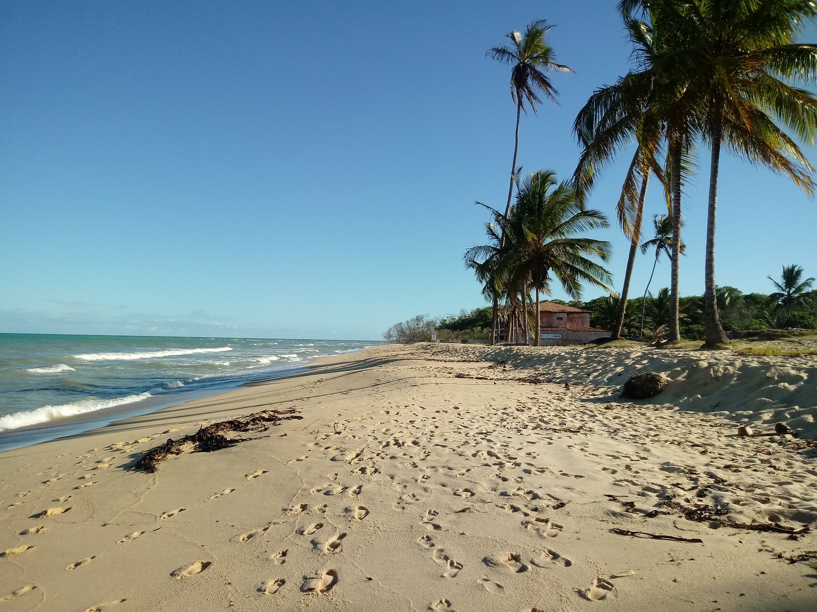 Foto von Kokosnussstrand mit feiner beiger sand Oberfläche
