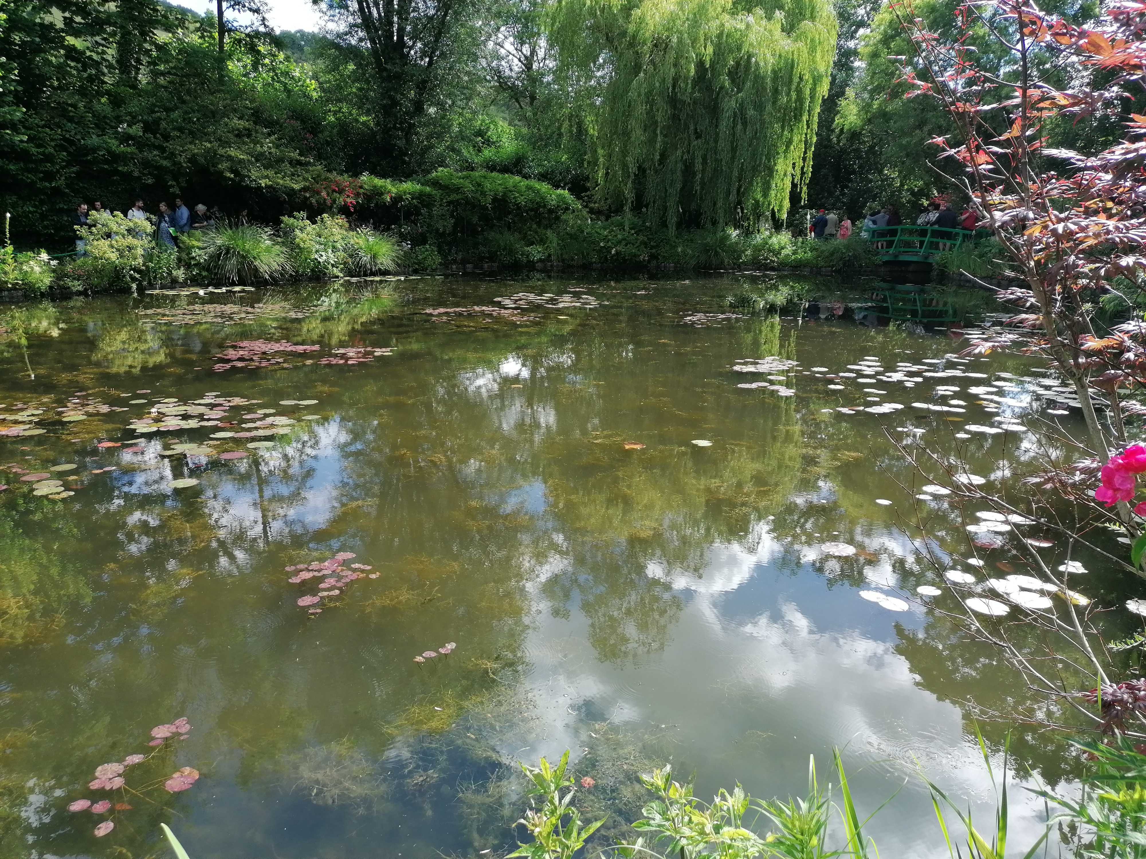 Photo n° 5 de l'avis de Notté.n fait le 07/06/2022 à 04:26