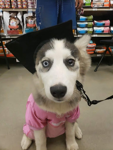 Pet Supply Store «Petco Animal Supplies», reviews and photos, 5925 US-6, Portage, IN 46368, USA