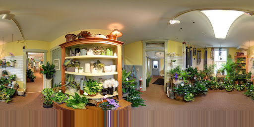 Florist «Adrienes Flowers & Gifts», reviews and photos, 1249 Conner St, Noblesville, IN 46060, USA