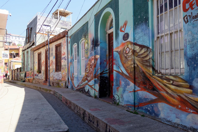 Opiniones de Barrio Yugoslavo en Valparaíso - Museo
