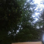 Photo n°4 de l'avis de Irene.i fait le 24/06/2021 à 15:22 sur le  Lampadina Pizza e Cucina à Bologna