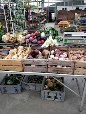 Le Saint Horticulture à Quemper-Guézennec