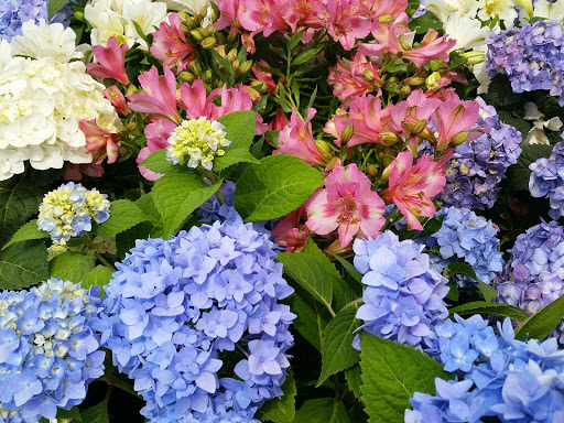 Building Materials Store «Silverado Building Materials», reviews and photos, 9297 Jackson Rd, Sacramento, CA 95826, USA