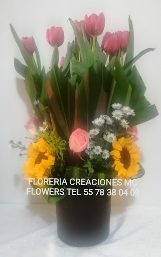FLORERIA CREACIONES MC FLOWERS, TIENDA EN LINEA – Mexico City
