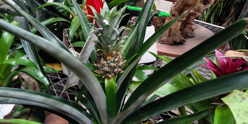 Home Improvement Store «The Home Depot», reviews and photos, 435 W Katella Ave, Orange, CA 92867, USA