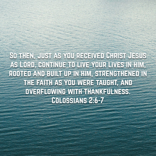 Sporting Goods Store «Big 5 Sporting Goods», reviews and photos, 900 W El Monte Way, Dinuba, CA 93618, USA