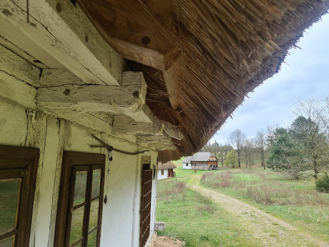 Unnamed Road, 26-060 Tokarnia