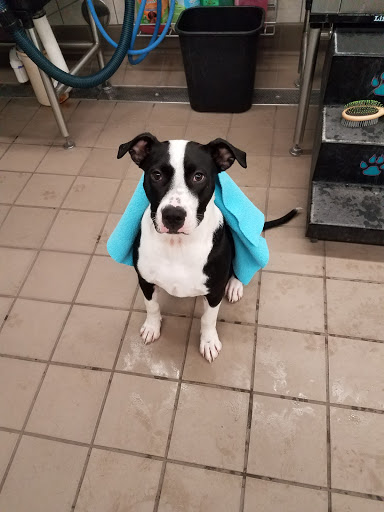 Pet Supply Store «Pet Supplies Plus», reviews and photos, 5050 S Federal Blvd #25a, Englewood, CO 80111, USA