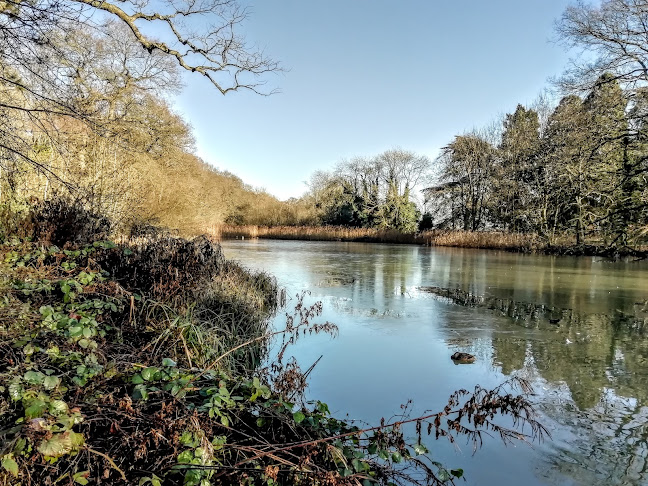 Comments and reviews of Coombe Country Park