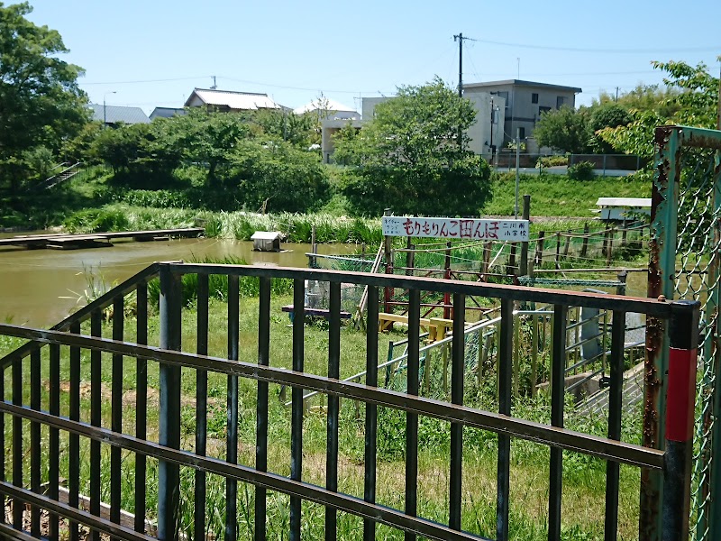 豊橋市立二川南小学校