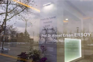 Professor Dr. Ahmet Ersan Ersoy image